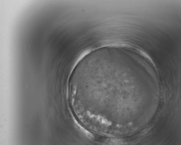 X0000080111095200612221758