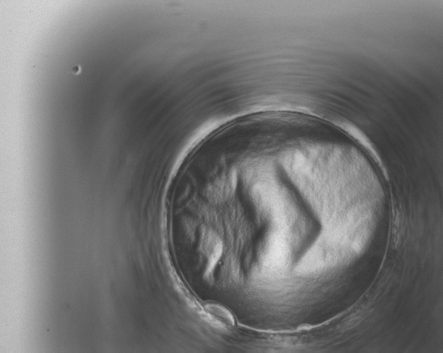 X0000080111096200612221758