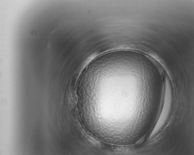 X0000080111097200612221758