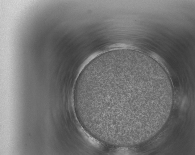 X0000080111098200612221758