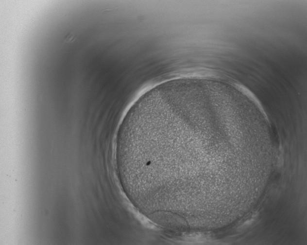 X0000080111099200612221758