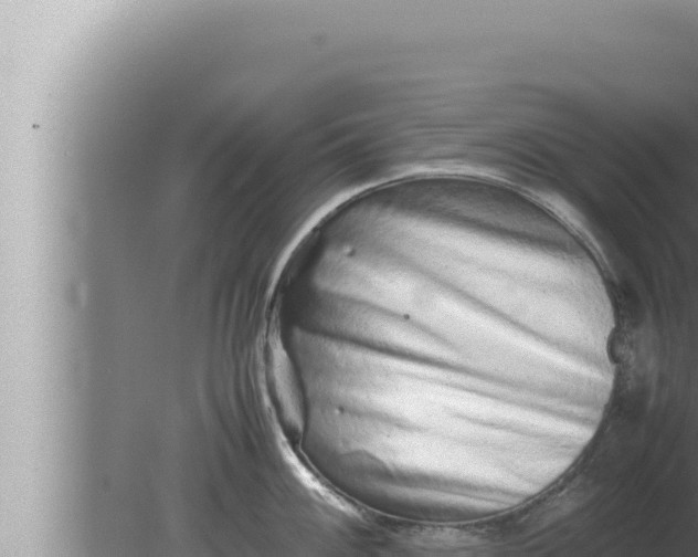 X0000080111100200612221758