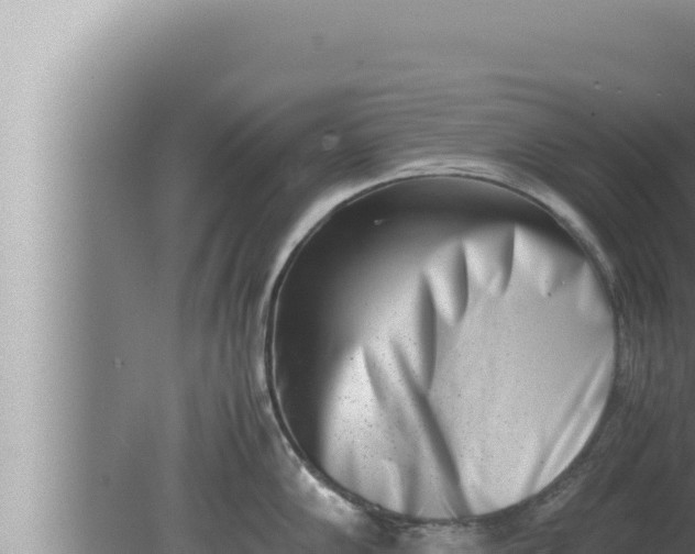 X0000080111102200612221758