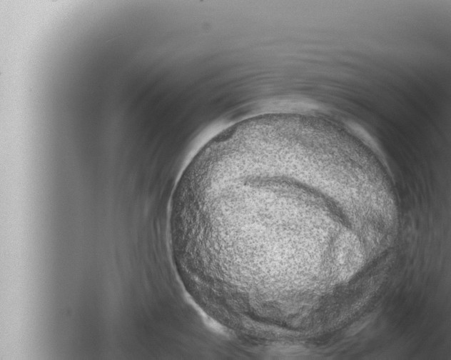 X0000080111103200612221758