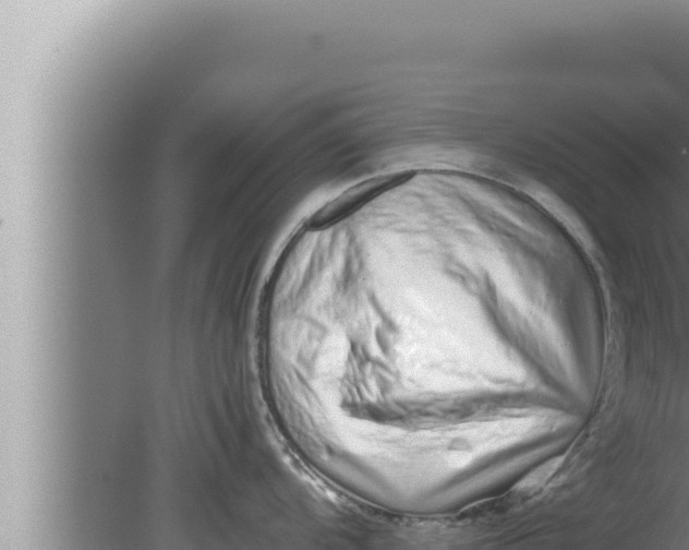 X0000080111104200612221758