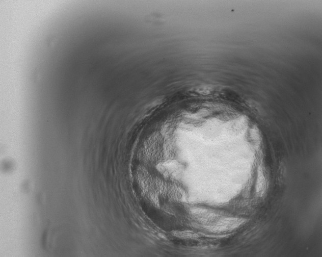 X0000080111105200612221757