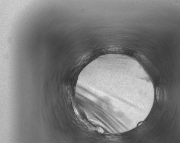 X0000080111107200612221757