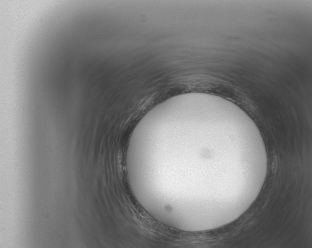 X0000080111108200612221757