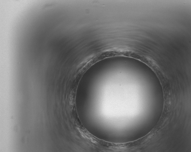 X0000080111110200612221757