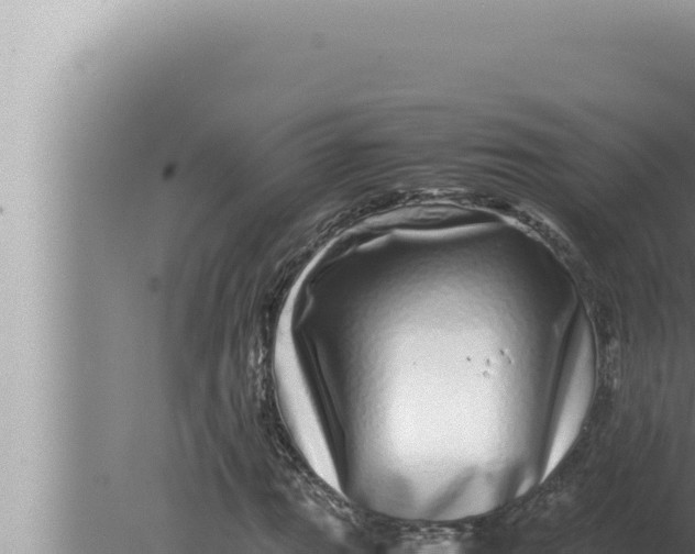 X0000080111111200612221757