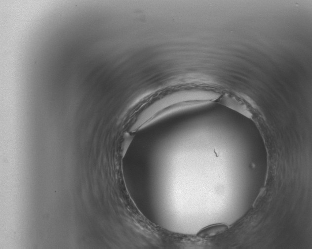 X0000080111112200612221757