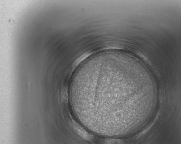 X0000080111113200612221757