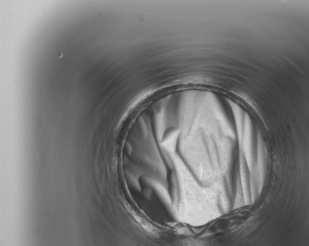 X0000080111115200612221757