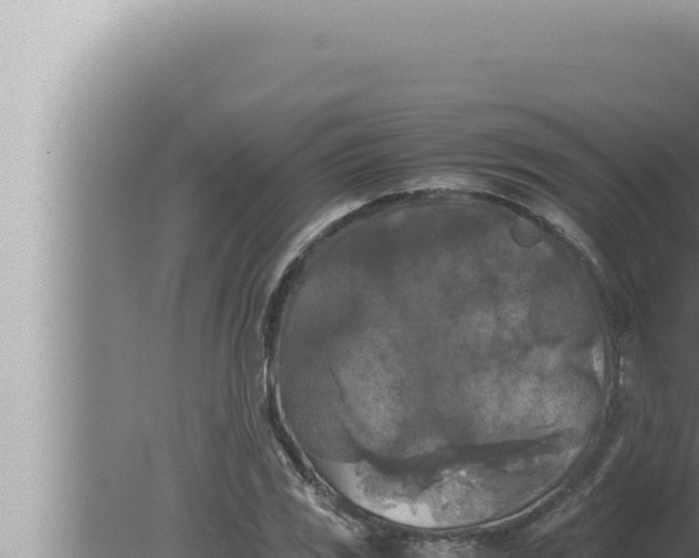 X0000080111117200612221757