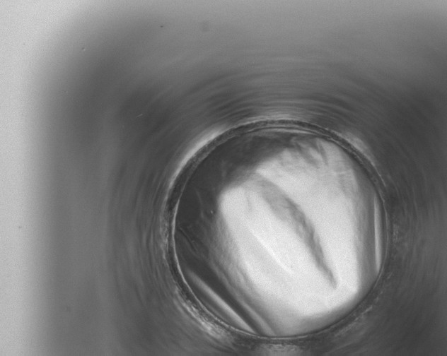 X0000080111119200612221757