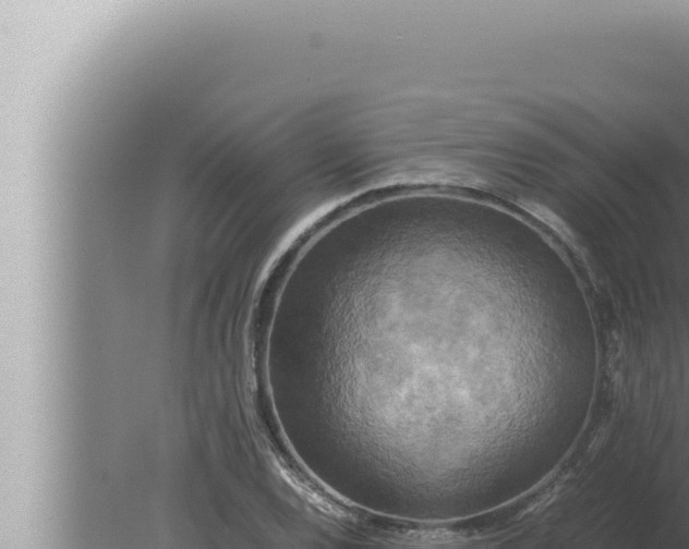 X0000080111120200612221757