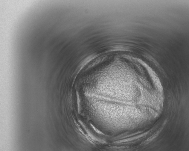 X0000080111121200612221757