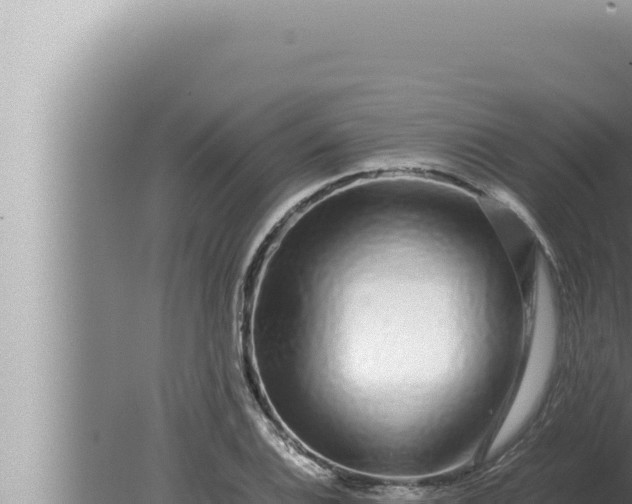 X0000080111124200612221757