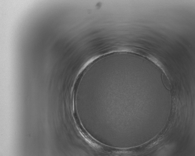 X0000080111127200612221758