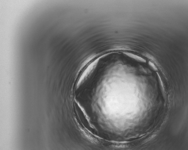 X0000080111129200612221758