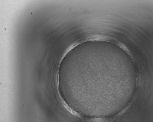 X0000080111130200612221758