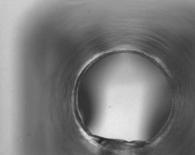 X0000080111134200612221758