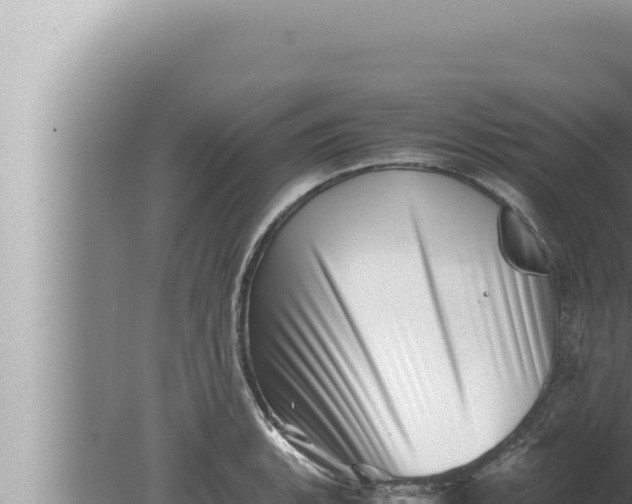 X0000080111135200612221758