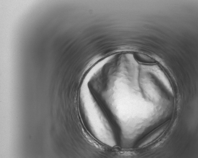 X0000080111137200612221758