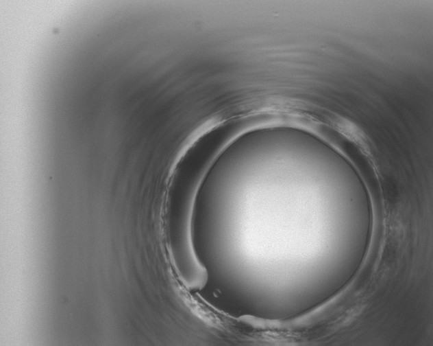 X0000080111138200612221758