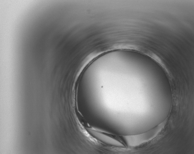 X0000080111140200612221758