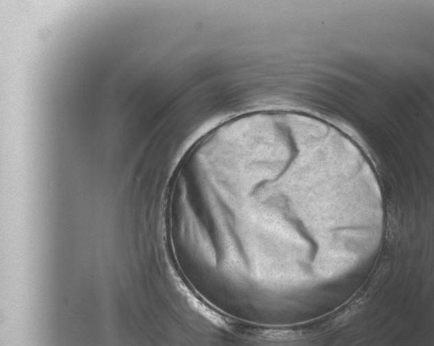 X0000080111142200612221758