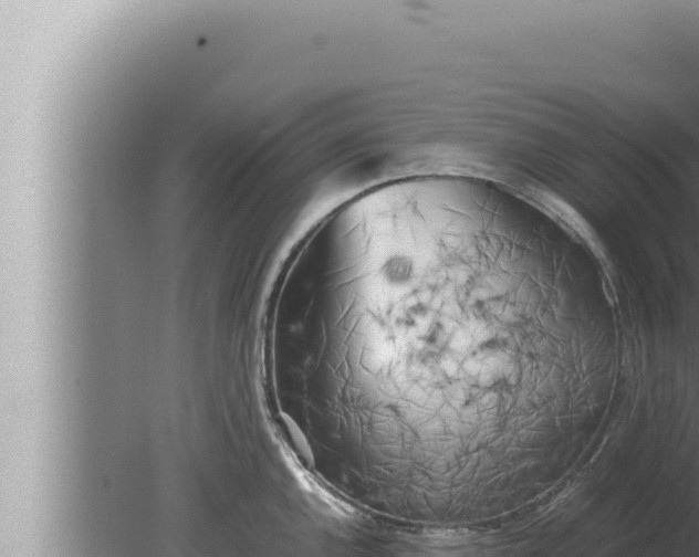 X0000080111144200612221758