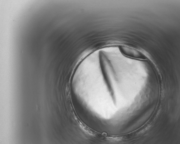 X0000080111145200612221758