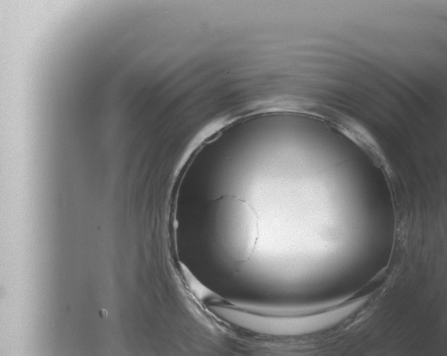 X0000080111146200612221758