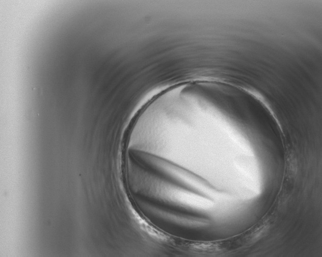 X0000080111147200612221758