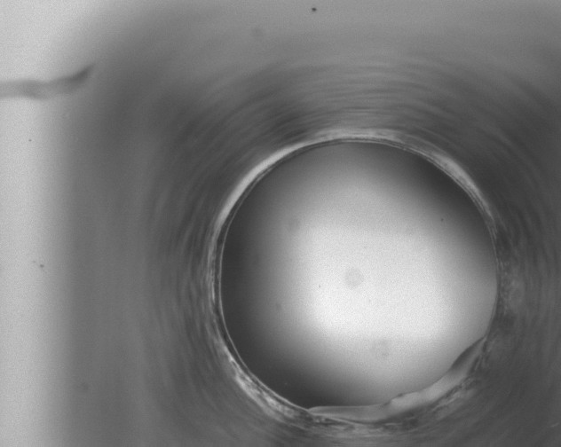 X0000080111148200612221758