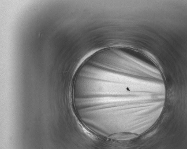 X0000080111149200612221758