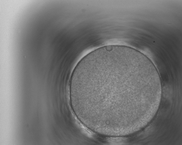 X0000080111150200612221758