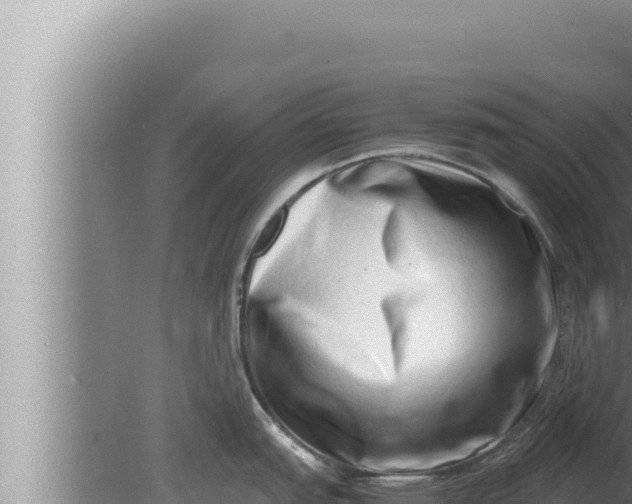 X0000080111151200612221758