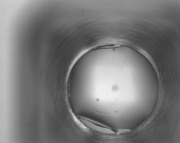 X0000080111152200612221758