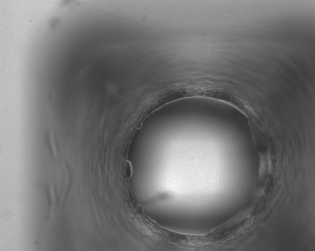 X0000080111153200612221757