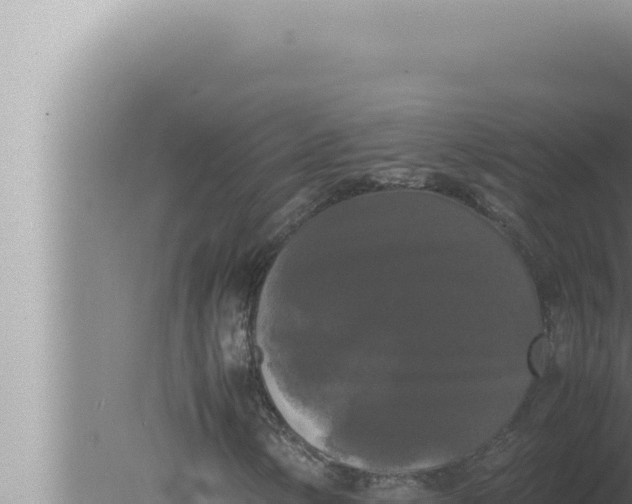 X0000080111154200612221757