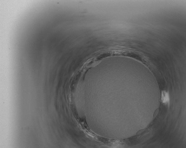 X0000080111155200612221757