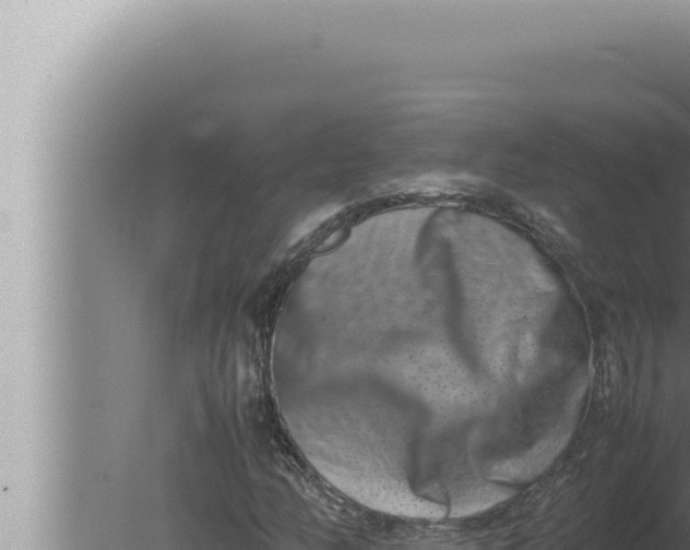 X0000080111158200612221757