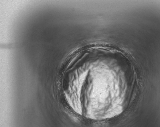 X0000080111159200612221757