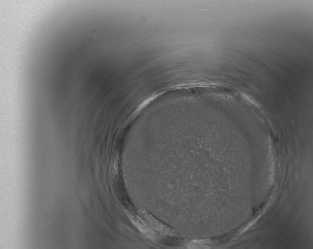 X0000080111161200612221757