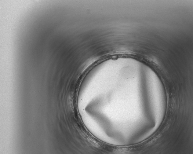 X0000080111162200612221757