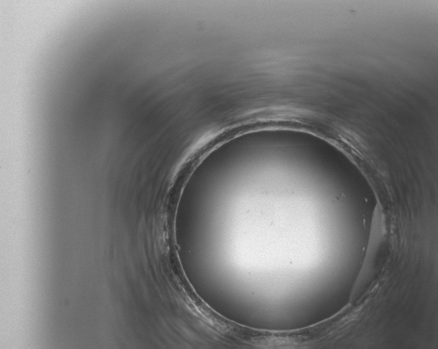 X0000080111164200612221757