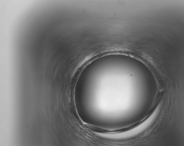 X0000080111165200612221757