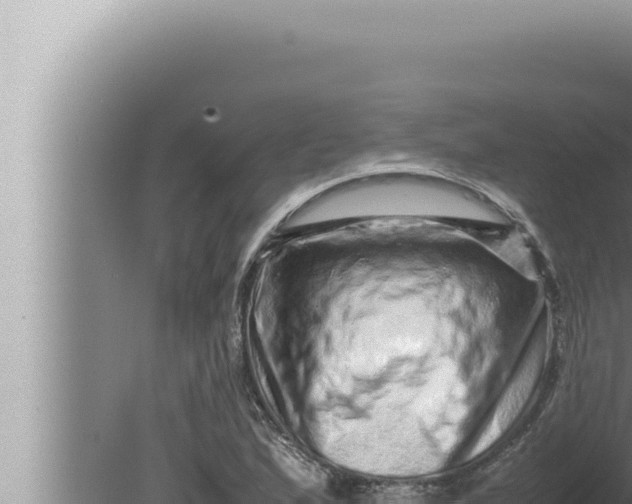 X0000080111167200612221757